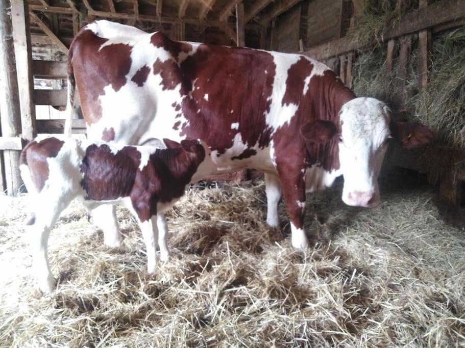Gite A La Ferme, Avec Animaux, Fromages Et Nature Neuville-les-Decize Exteriör bild