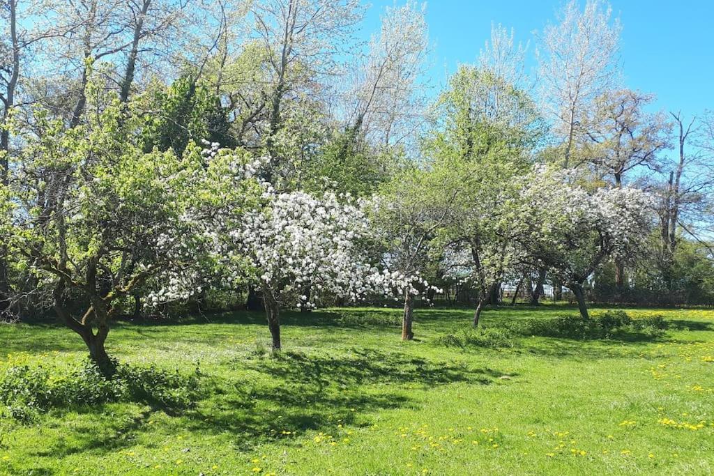 Gite A La Ferme, Avec Animaux, Fromages Et Nature Neuville-les-Decize Exteriör bild